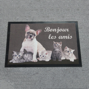 Deurmat-tapete De Capacho para sala De estar, felpudo antideslizante para puerta De entrada en el hogar - Product Image 4