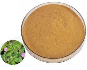 Hochwertiges Mimosenwurzelextrakt-Pulver Mimosenrindenextrakt-Pulver - Product Image 5