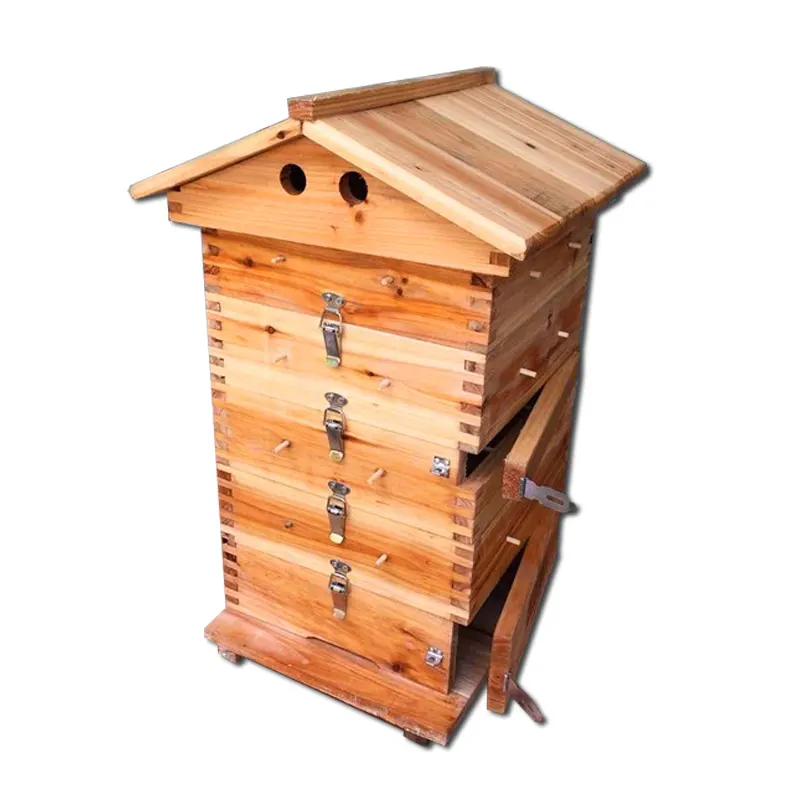Caja de madera para apicultura, equipo de mantenimiento de abejas
