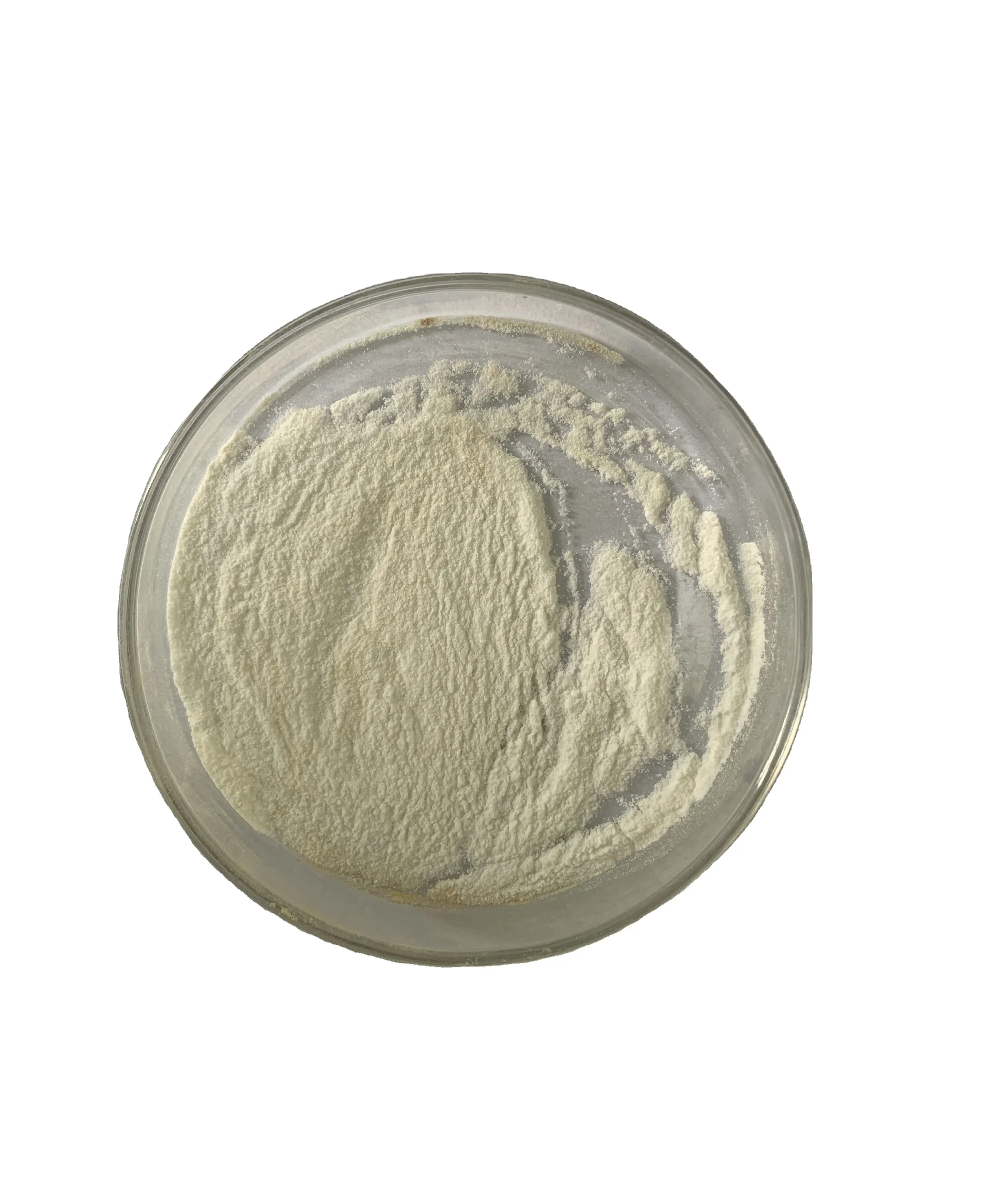 Saccharose SUC16P-Powder-Sucrose