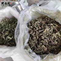 KAIYANGE Vente en gros de fragments de thé à la menthe verte brute de qualité supérieure, marque privée, échantillon de thé à la menthe verte Mentha Spicata L., feuilles de menthe