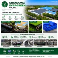 Filet d'ombrage agricole en HDPE 60% 80% 90% 95% Filet d'ombrage vert pour l'agriculture Filet d'ombrage