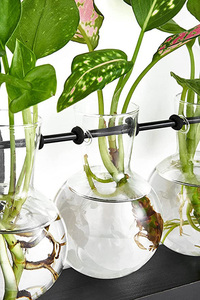 Nuevas Estaciones de Propagación de Plantas, Terrario con Soporte de Madera, 3 Macetas de Vidrio, Soporte para Plantas de Interior - Product Image 6
