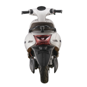 Motocicleta Eléctrica Todoterreno Newbot EEC de Alta Calidad, Batería de Litio de 60v, Motor de 2500w, Velocidad de 45km/h, Scooter para Adultos - Product Image 4