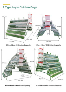 Jaula para gallinas ponedoras tipo batería, galvanizada en caliente, para 1000 aves, para granja - Product Image 2