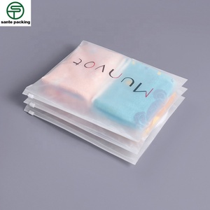 Reusable Plastic Zipper Seal Bags Frosted Waterproof Luggage Storage Pouch for U Disk Data Line - Product Image 4