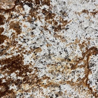 Dalles de granit naturel verni tropical Paia Stone importées du Brésil, polies, pour revêtement mural extérieur, carreaux de luxe dorés pour cuisine