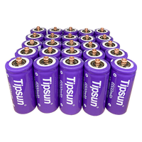 Sel Baterai LiFePO4 Tipsun 32700 3.2V 6500mAh 20.8Wh Lithium Iron yang Dapat Diisi Ulang