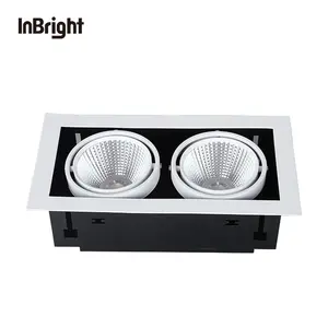 10W 20W 30W Meerdere Downlight Dubbele Koppen Verzonken Rechthoekige Led Downlight Dimbare Grille Cob Led Downlight