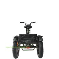 Triciclo eléctrico Oem personalizable con Motor Central de 500W, triciclo de carga con neumáticos gruesos, bicicleta eléctrica de 3 ruedas barata para adultos
