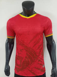 Camiseta de Fútbol de Camerún, Local y Visitante, para Jugadores o Aficionados, Calidad Tailandesa, Camiseta de Fútbol para Hombre - Product Image 1