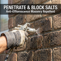 Revêtement anti-efflorescence pour maçonnerie, à pénétration profonde, hydrofuge à base d'eau, barrière contre le sel pour les murs