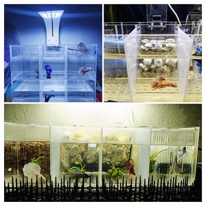 Akuarium Betta Multi-layer Akrilik, Kotak Pembibitan, Tanpa Filter, Dapat Ditumpuk, Ukuran Kecil, Promo - Product Image 6