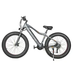 epac electric bicycle en14764 e bike faster bike electric fat bike electric 250 w