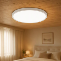 En stock, homologué ETL, panneau lumineux LED rond ultra fin de 12 pouces, luminaire LED à intensité variable 5CCT, plafonnier LED pour bureau, maison, commerce