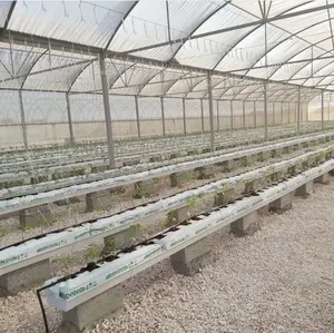 Drip Irrigation Equipment PVC Hydroponic Gutters Plastic Plant Growing Gutter For Strawberry