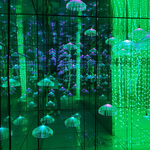 <span class=keywords><strong>Labyrinthe</strong></span> de miroir aire de jeux intérieure et extérieure parc d'attractions <span class=keywords><strong>labyrinthe</strong></span> de miroir à vendre - Product Image 3