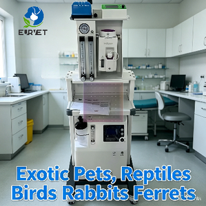 เครื่องช่วยหายใจสำหรับสัตว์เลี้ยงแปลกใหม่ EURVET สำหรับการดมยาสลบ ใช้ในห้องไอซียู พร้อมวงจรการหายใจ - Product Image 1