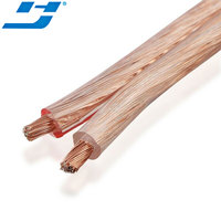 Cables de Altavoz de 2 Conductores, Rayados, 16/2 CCA, 100M