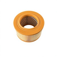 Filtre à air Pancake 05727224, type capsule, avec média plissé et maille intérieure perforée, pièce de rechange pour tondeuse à gazon, générateur et équipements de nettoyage