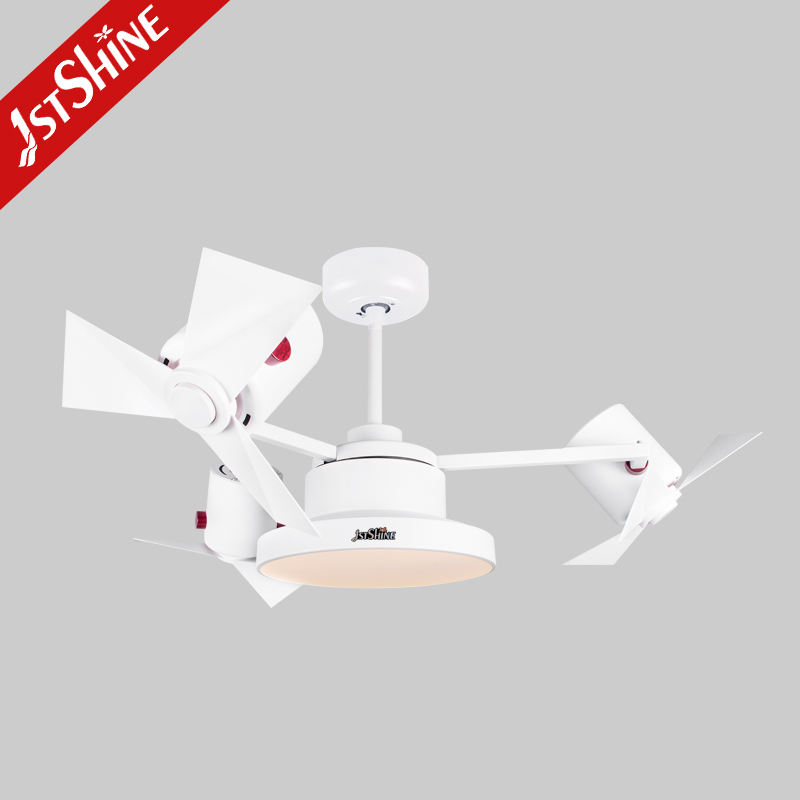 ตามที่ปรากฏ