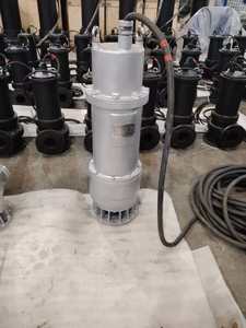 ปั๊มน้ำเสียแบบป้องกันการระเบิด WQB 380V-660V 100-600 ลิตร/ชม. 2.2-550 กิโลวัตต์ เหล็กหล่อ/SS304 แรงดันต่ำ 3 เฟส 50/60Hz - Product Image 4