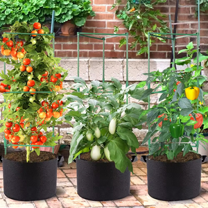 48 Inches Nhiệm Vụ Nặng Nề Cà Chua Lồng Cho Vườn Nhà Máy Kim Loại Leo Núi Trellis Rau Cà Chua Nhà Máy Hỗ Trợ Với Cà Chua Clip - Product Image 4