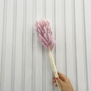 Erba di Coniglio Naturale Essiccata Ecologica, Decorazione <span class=keywords><strong>Boho</strong></span> per la Festa della Mamma e San Valentino - Product Image 4