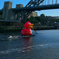 Mascotte gonflable de canard rouge personnalisé géant gonflable pour affichage de l'eau Décoration promotionnelle d'événements en plein air