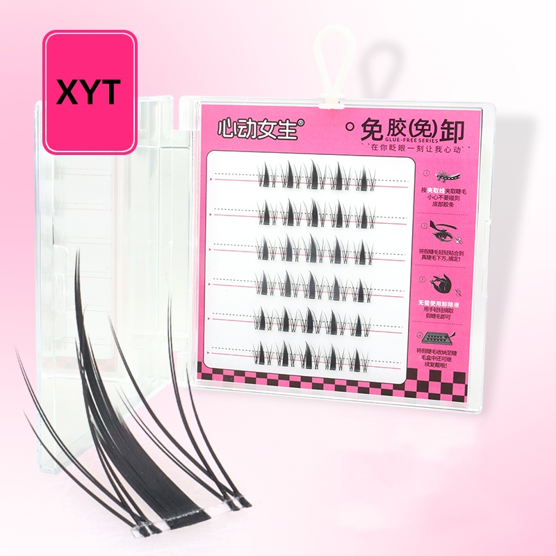 XYT