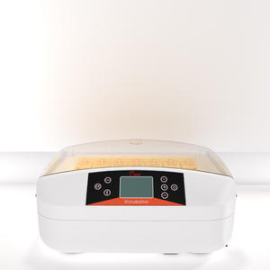 Incubateur à œufs de poulet 56 œufs avec testeur d'œufs à vendre - Product Image 4