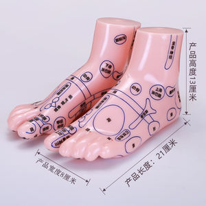 Modello Didattico di Agopuntura TCM Runshi in PVC, 21cm, Massaggio Doppio Piede per il Corpo, Prodotto di Medicina Cinese - Product Image 2