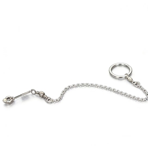 Nuova Catena per Addestramento Piccioni da Esterno, Anello per Caviglia in Acciaio Inox per Pappagalli, 50cm, Ecologico e Sicuro - Product Image 1
