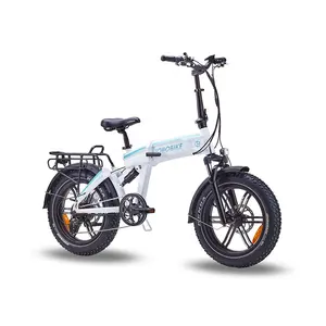 Vélo électrique 20 pouces 48V 500W suspension Ebike