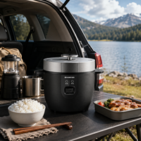 Cuisinière à riz électrique portable 12V/24V 2L, avec minuterie numérique et fonction maintien au chaud, pour voiture, camion, camping-car, extérieur, camping