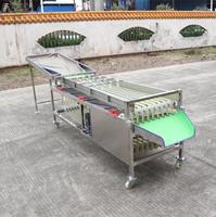 Trieuse de fruits pratique sur chenilles pour le tri de plusieurs types de fruits et légumes frais
