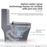 Nouvel ensemble de cuvettes de toilettes en céramique colorée gris luxe léger avec siphon anti-odeur pour salle de bain