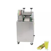 Presse-agrumes à canne à sucre électrique commercial 220V à haute rigidité portable