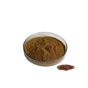 工場供給 高品質 天然大根種子エキス 10:1 セメンラファニエキス - Product Image 2