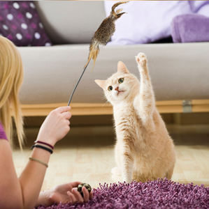 Mainan kucing bulu kelinci asli alami interaktif untuk anak kucing gigit mengunyah bermain dalam ruangan berburu latihan hiburan hewan peliharaan - Product Image 3