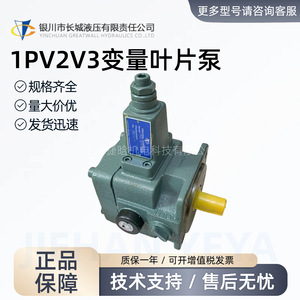 ปั๊มใบพัดปรับได้ยี่ห้อหยินชวน รุ่น 1PV2V3-4025RA01MC100A1 ปริมาณ 20 ลิตรต่อนาที แบบยึดหน้าแปลน สำหรับระบบไฮดรอลิก - Product Image 4