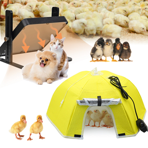 Équipement d'éclosion de volaille couveuse contrôle de la température <span class=keywords><strong>poussin</strong></span> couverture chauffante parapluie de couvée <span class=keywords><strong>pour</strong></span> volaille animaux de compagnie et animaux - Product Image 1
