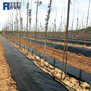 Vente d'usine Géotextile composite pour route <span class=keywords><strong>Prix</strong></span> d'usine de haute qualité PP polypropylène plastique noir souple - Product Image 3