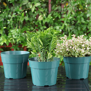 โมเดิร์นเสริมใสเนอสเซอรี่หม้อ 4/6/8/10 นิ้วต้นกล้าโปร่งใส Macetas พลาสติกแกลลอน Grow กระบองเพชรฉ่ํา - Product Image 3