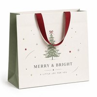 Sac cadeau en papier de Noël minimaliste de style coréen écologique avec ruban gros-grain laminé pour cosmétiques, shampoing, masque facial