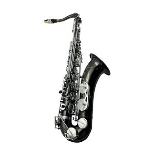 Saxophone ténor SEASOUND OEM professionnel, corps en nickel noir, argenté, JYTS103DBNS, avec un son exceptionnel - Product Image 1