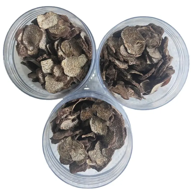 Doğal kurutulmuş 100g siyah truffle hediye kutusu malzemeleri mantar