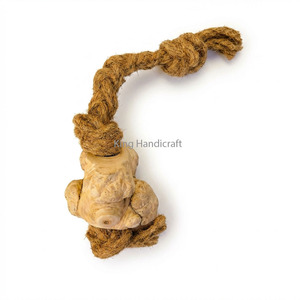 Natural Coffee Wood Pet Toy with Braided Coir <b>Rope</b> Durable Coffee Wood Dog Chew Bone for Outdoor Training and Play - Product Image 2