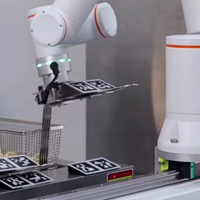 Robot de manutention multifonction 6 axes IA pour soudage mobile, palettisation, préhension et placement, avec vision, moteur Hance Force 0.5kW