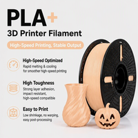 Filamen PLA Plus 1.75mm, Gulungan 1kg, Berat Bersih 1kg, Diameter ±0.02mm, Filamen Printer 3D FDM, Pencetakan Kecepatan Tinggi, Warna RAL